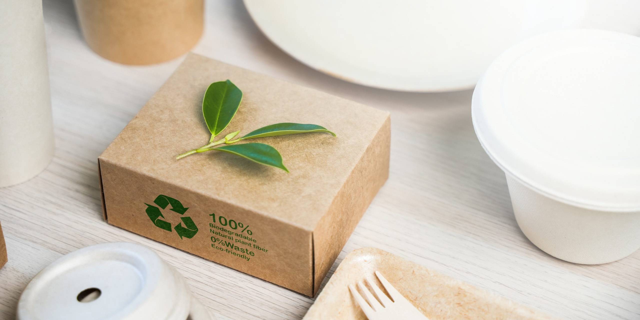 sustainable cardboard packaging