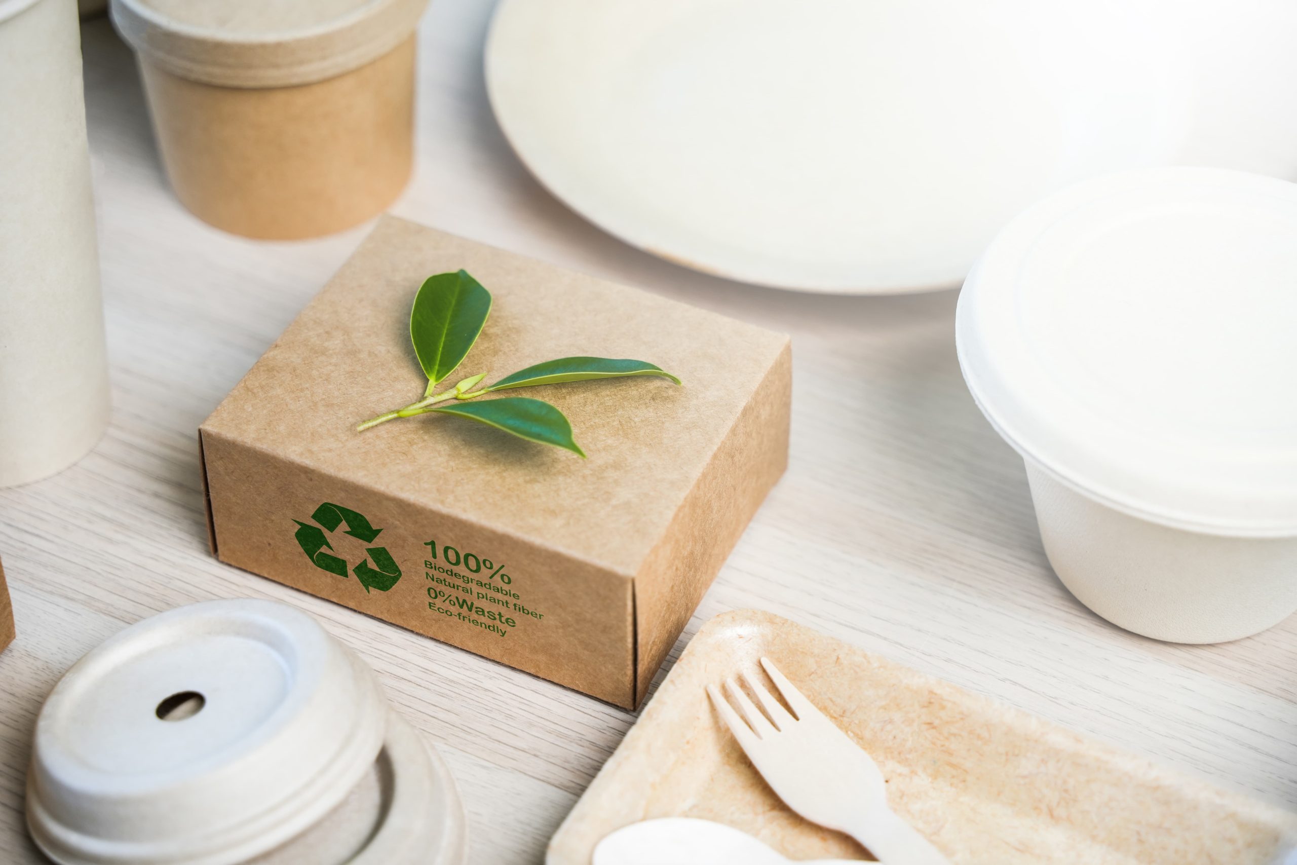 sustainable cardboard packaging
